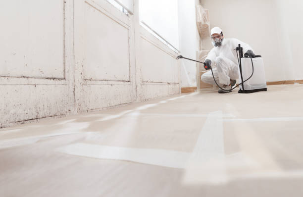 24/7 Emergency Bathroom Mold Removal experts in Nicktown, PA